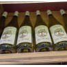 Abymes  vin blanc de Savoie