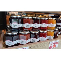 Confiture Myrtille Intense 0.400